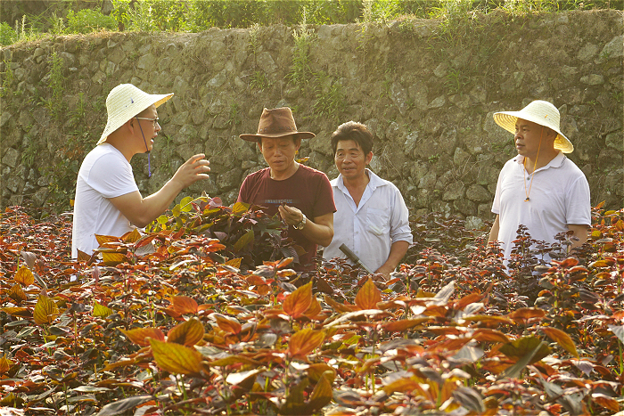 城厢：专项扶贫　助力脱贫攻坚