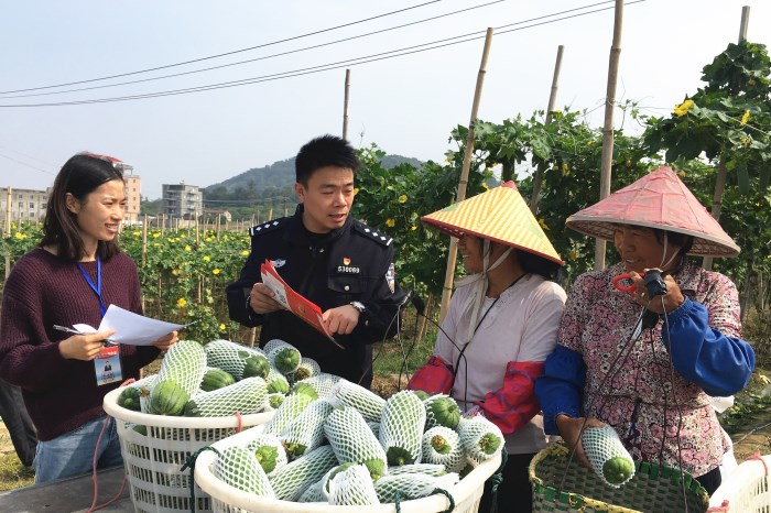 秀屿：一线走访　摸排问题线索