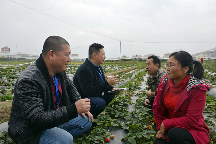 城厢：一线排查形式主义官僚主义
