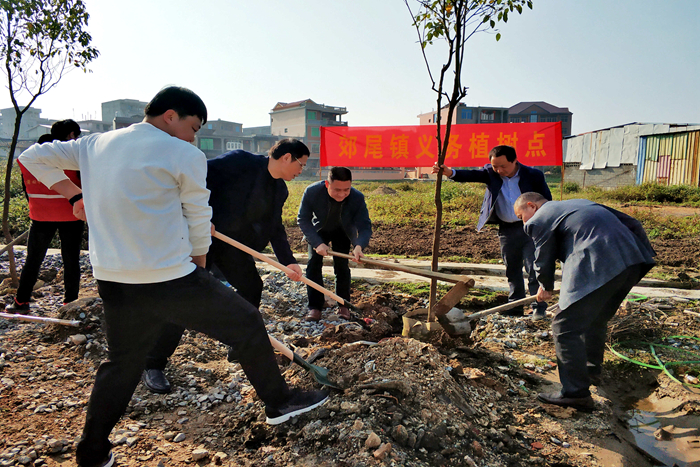 仙游：植绿我先行 打造“清风林”