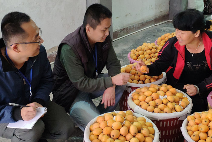 涵江：一线监督　守护扶贫“奶酪”