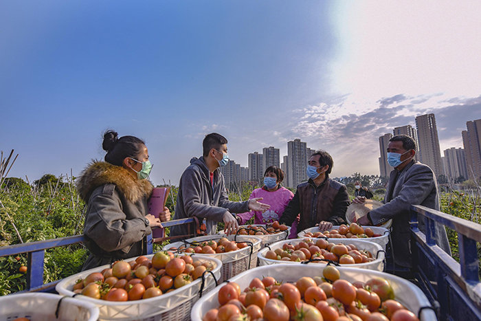 莆田：直插一线监督　保障群众生产生活秩序