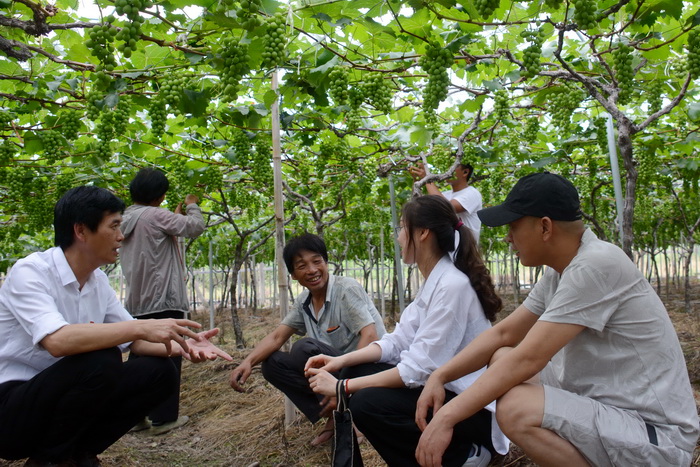 城厢：靶向监督　护航脱贫攻坚