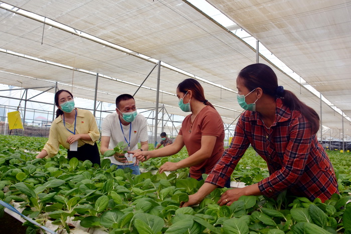 城厢：监督下沉一线　护航产业扶贫
