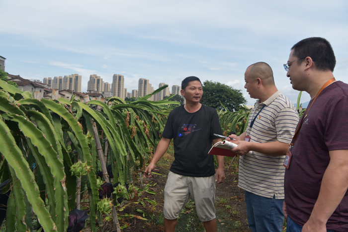 荔城：一线督查促政策落实