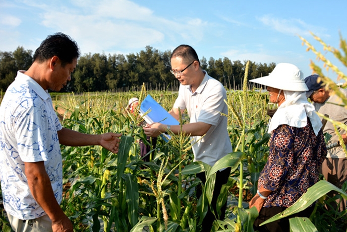 秀屿：一线监督 护航脱贫攻坚