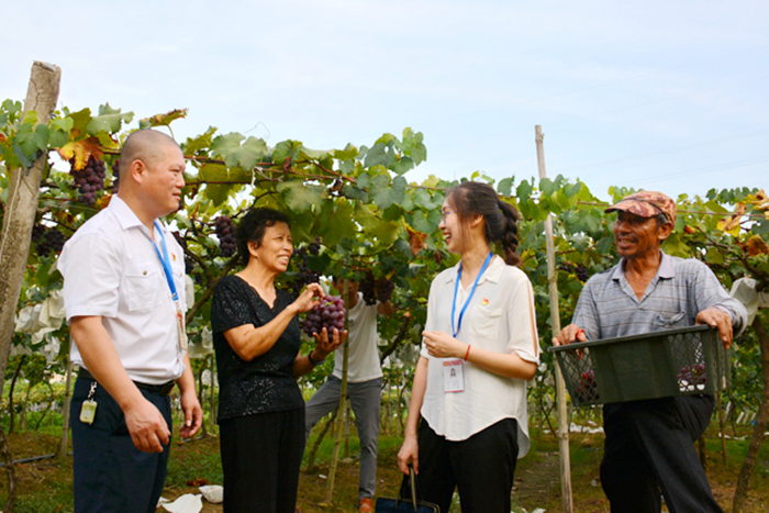 城厢：一线监督 护航惠民政策落实落细