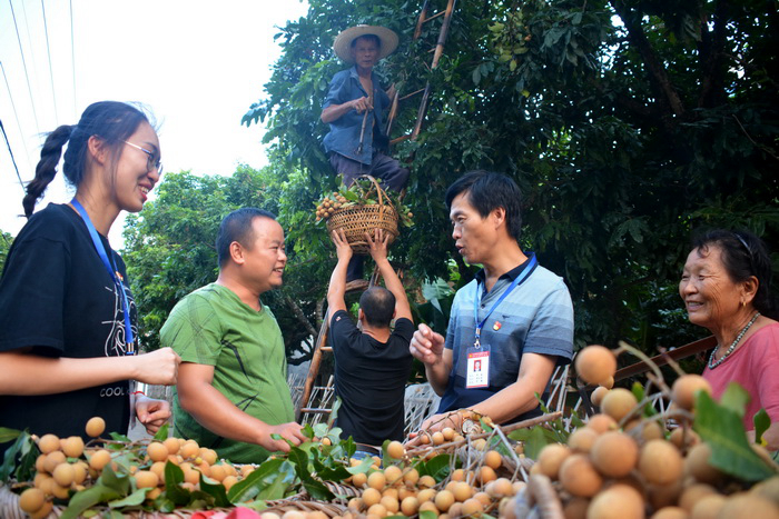 城厢：“清单制”监督 保民生护民利