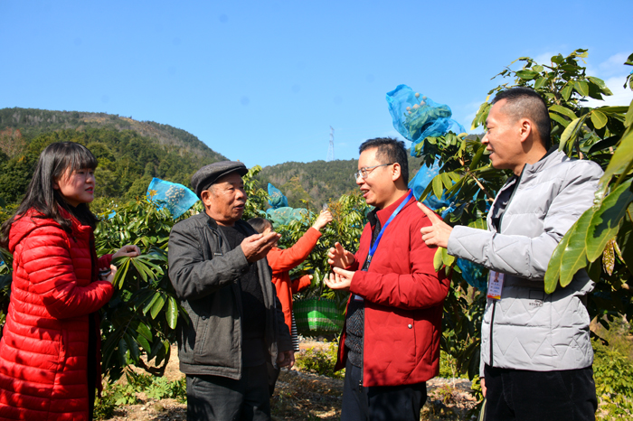 城厢：靶向监督　巩固脱贫成果