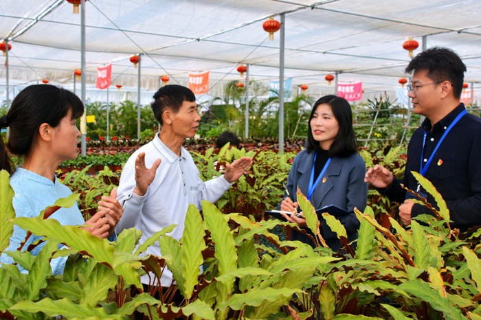 城厢：创新巡察模式　助力乡村振兴