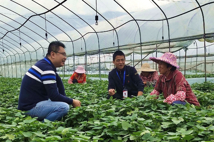 涵江：下沉一线监督 助力乡村振兴