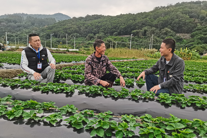 涵江：强化政治监督 护航乡村振兴