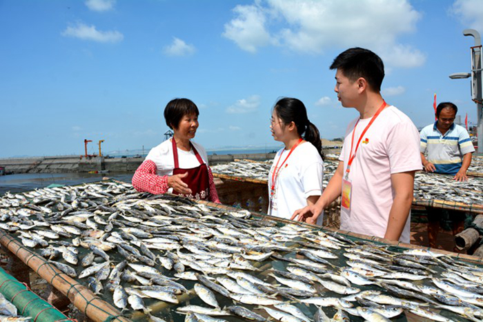 秀屿：下沉一线 推动解决群众“急难愁盼”问题