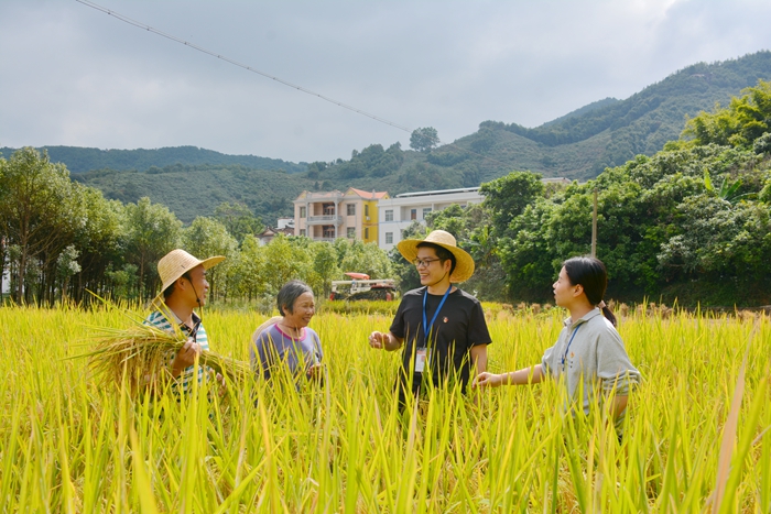 城厢：一线监督 保障粮食安全