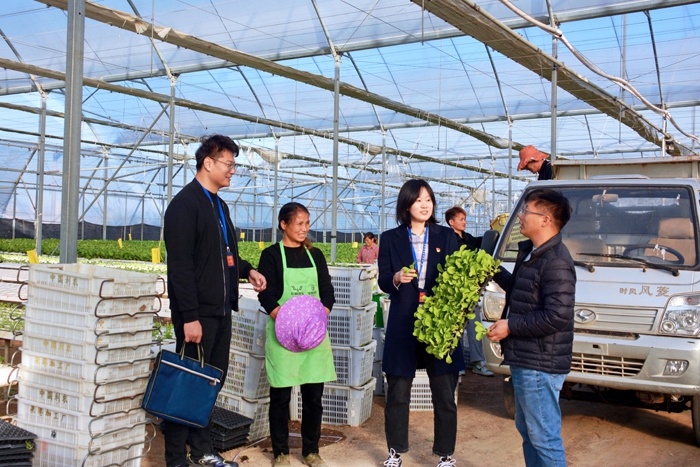 城厢：监督下沉护航乡村振兴