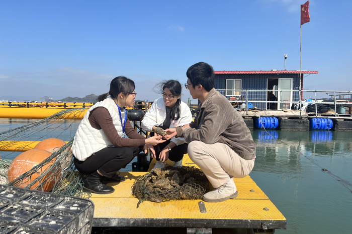 莆田市北岸经开区：强化监督 护航民生