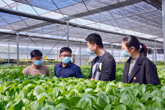 城厢：“三化联动”助力乡村振兴