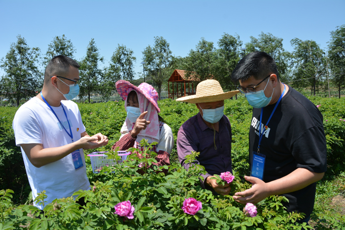 秀屿：一线监督走访护航民利