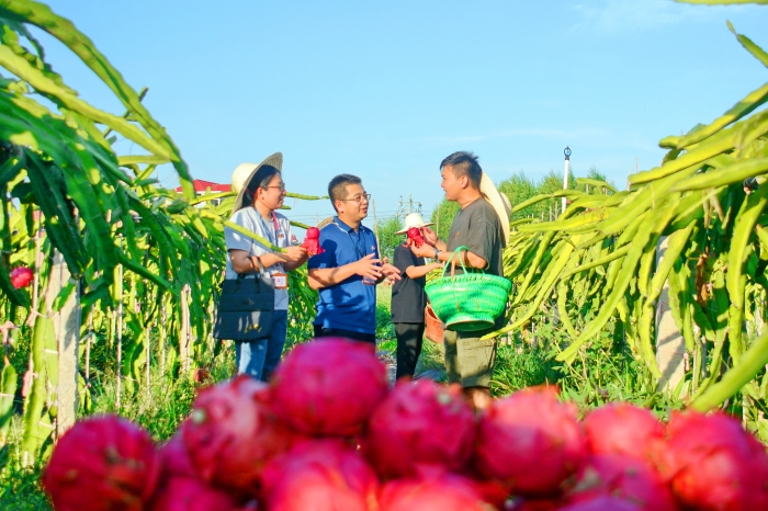 城厢：带信走基层 解决群众“急难愁盼”