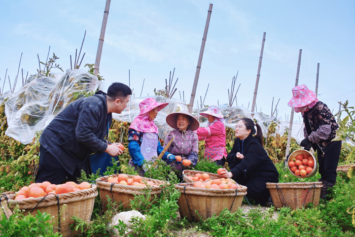 城厢：一线监督护民利