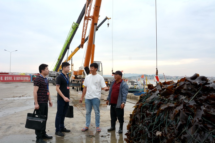 秀屿：一线监督 护航乡村振兴